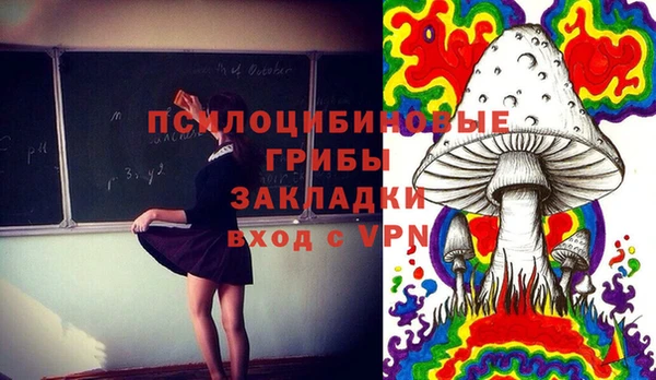 гидропоника Арсеньев